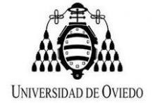 Universidad de Oviedo Master en Transporte y Gestión Logística