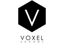 Voxel School