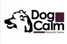 Dog Calm Castellón