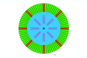 Marcel Vega PHE BIOCUANTICA