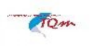 INSTITUTO DE EDUCACIÓN SUPERIOR TQM