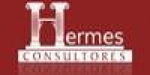 Hermes Consultores
