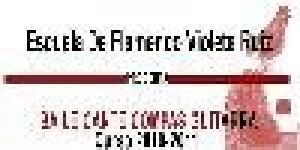 Escuela Flamenca Violeta Ruiz