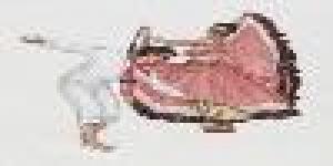 Danza Afro-Latinoamericana