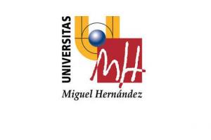 Universidad Miguel Hernández de Elche
