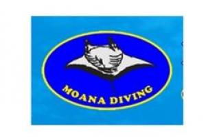 Moana Diving