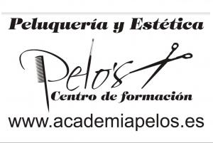 Academia De Peluquería Pelos