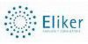 ELIKER ANALISIS Y CONSULTORIA S.L.