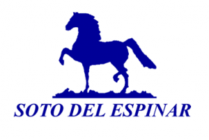 Soto Del Espinar