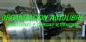 Organizacion AUTOLIBRE