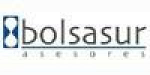 Bolsasur Asesores