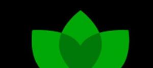 Ámate Centro de Terapias