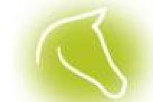 Liderazgo y Equilibrio