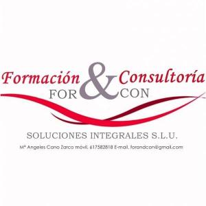 For&Con Soluciones Integrales