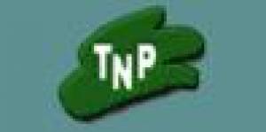 Taller de Nuevos Pintores - Tnp