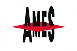 UNIDAD DE ACCION FORMATIVA DE AMES