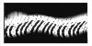 Flamenco y Mucho Más