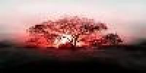 Centro Salud y Bienestar