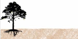 Bioenergética Madrid