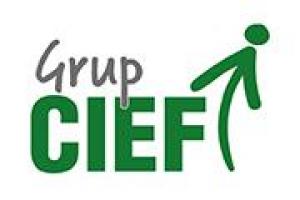 Grup CIEF
