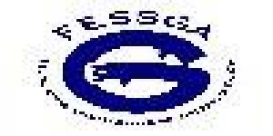 Federación Galega de Salvamento e Socorrismo