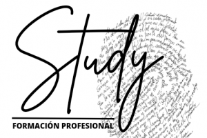 Study Formación Profesional