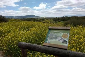 Inmersión en inglés week end