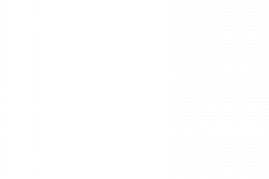 Corporación Educativa William Seymour