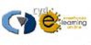 Consultoría y Desarrollo del Sur.