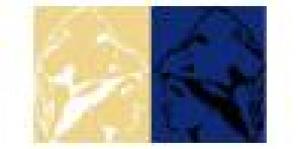 Fundación Centro Europeo Pallas Athene - PIRIT