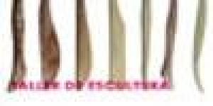 TALLER D'ESCULTURA POBLE ESPANYOL