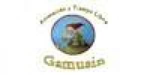 Fundación Santa María de Albarracín