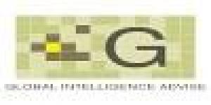 GLOBAL INTELLIGENT ADVISE