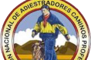 Centro de Formación Práctico de Educadores Caninos - Murcia