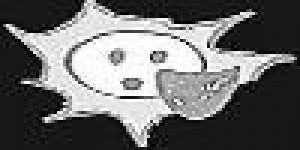 Associació Biniki Espectacles