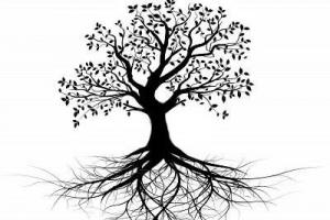 Belleza y Bienestar MF