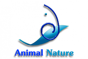 Animal Nature