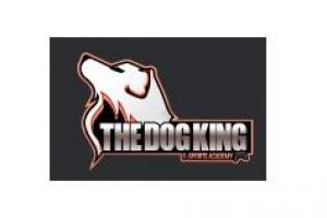The Dog King Academy