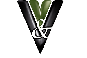 Vision y Valor Consulting