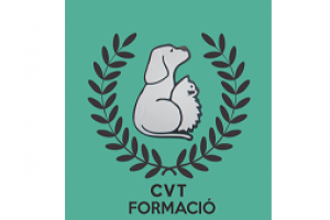 CVT Formacio