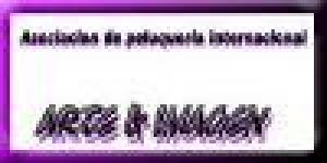 Asociación de Peluquería Internacional Arte e Imágen