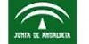 FAFFE - Fundación Andaluza de Fondo de Formación y Empleo