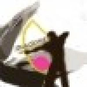 Academia Universitaria Diagemes