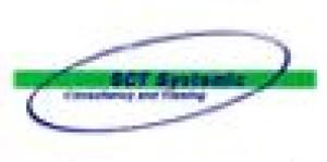 Sct Systemic Consultancy And Training