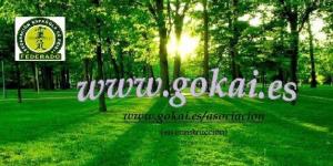 AGT, Gokai Asociación de Terapeutas