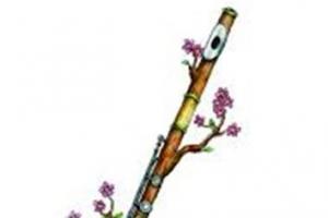 Clases de Flauta Travesera y Flauta de Pico