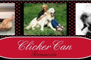 ONG SONRISAS D´ASSUA WHITE STARS