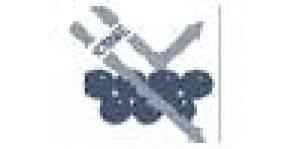 ICMS - Instituto de Ciencia de Materiales de Sevilla (CSIC - US)