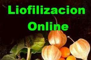 LIOFILIZACION ON LINE