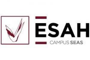 ESAH Semipresencial